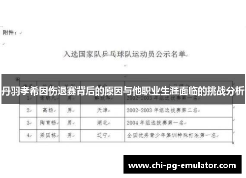 丹羽孝希因伤退赛背后的原因与他职业生涯面临的挑战分析 丹羽孝希因伤退赛背后的原因与他职业生涯面临的挑战分析