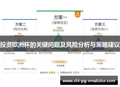 投资欧洲杯的关键问题及风险分析与策略建议 投资欧洲杯的关键问题及风险分析与策略建议